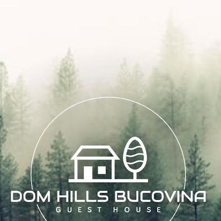 Dom Hills Bucovina Hotel Гура Хуморулуй Екстериор снимка