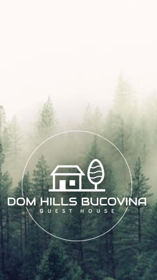 Dom Hills Bucovina Hotel Гура Хуморулуй Екстериор снимка